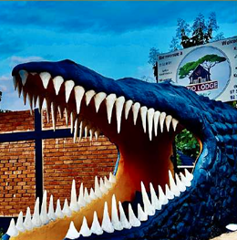 Screenshot 2025-10-31 154706